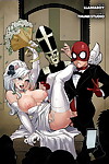 il nozze di spider uomo & Nero Gatto