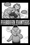 禁断の frontiers 9