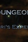 dungeon 3 syndori\'s experiencia