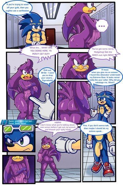 Sonic Riding Dirty- Furry