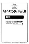 Muchi Muchi 7 (Terada Tsugeo, Hikami Dan) Muchi Muchi Angel Vol. 12 (Shijou Saikyou no Deshi Kenichi)