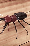 casgra mr. roachcock’s bug zapper parte 2