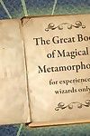 [Meet\'N\'Fuck] Magic Book (Complete Edition) - part 2
